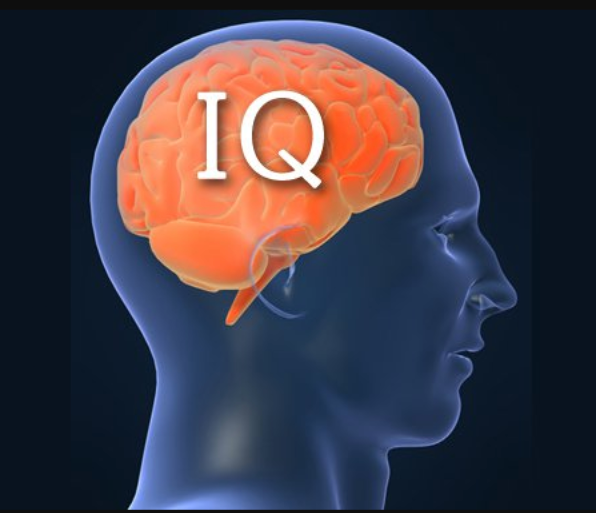 What Age Is Your IQ The Highest