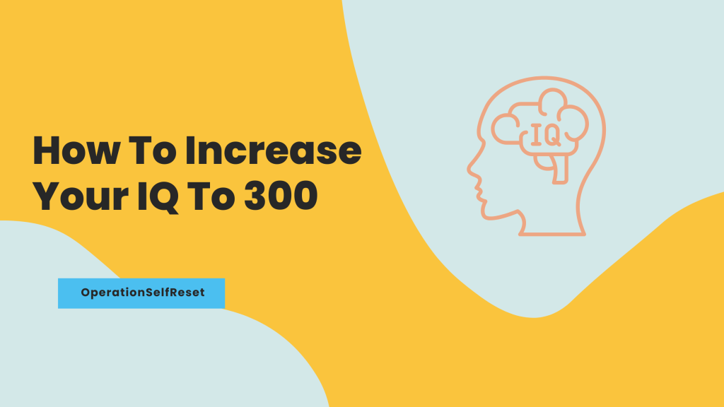 How To Increase Your IQ To 300