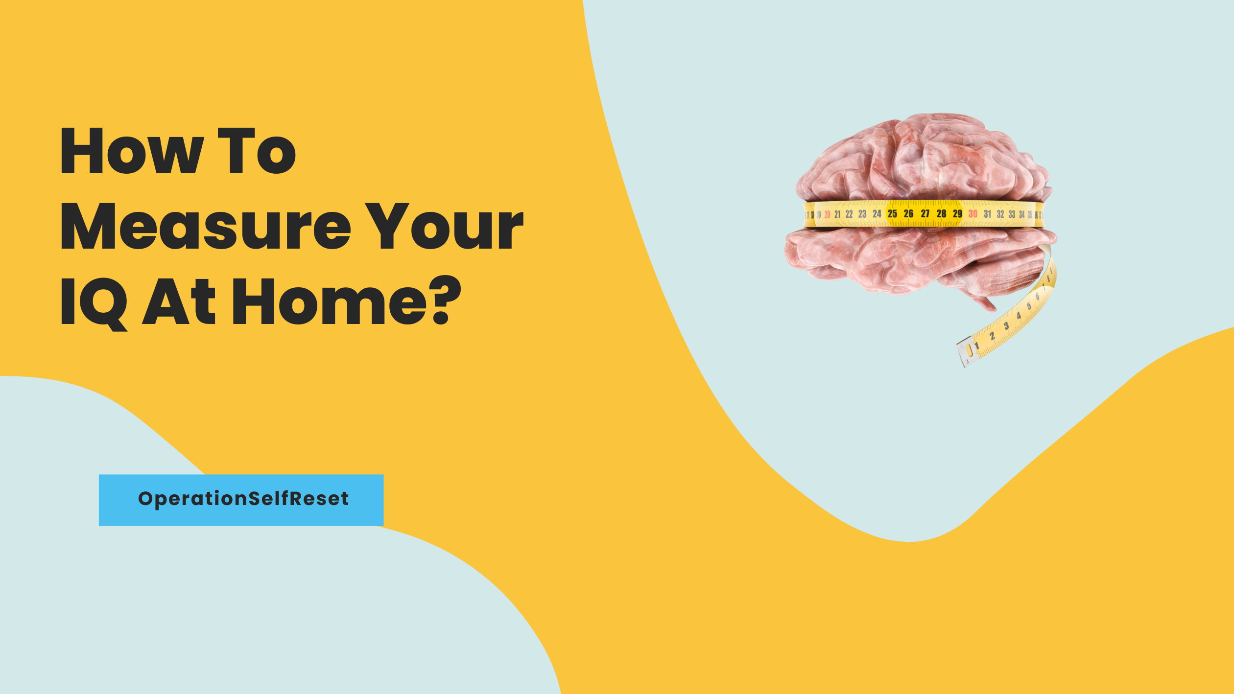 How To Measure Your IQ At Home (Complete Guide)