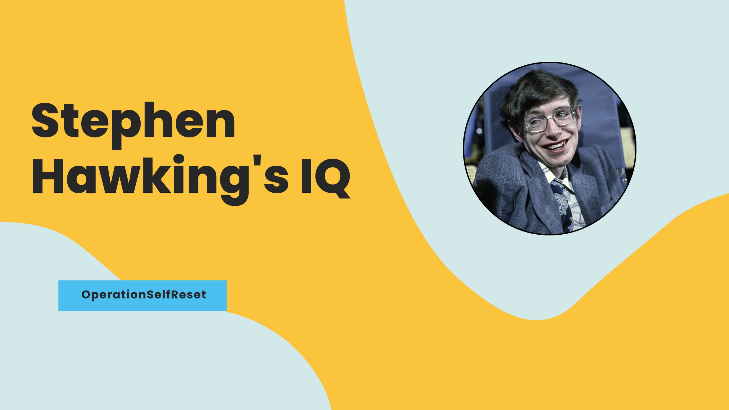 What Was Stephen Hawking’s Iq (highest Iq In The World)