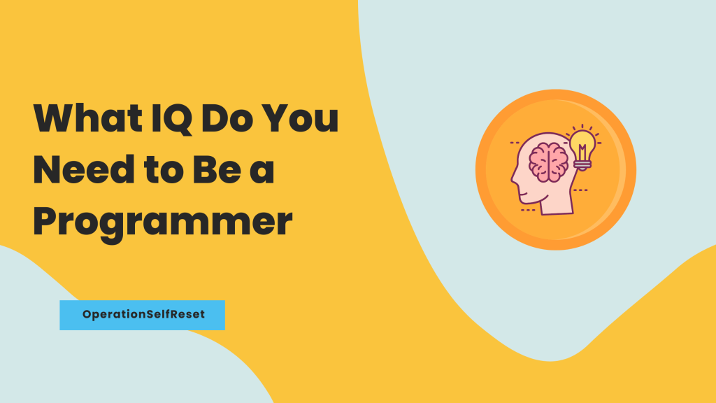 What IQ Do You Need to Be a Programmer